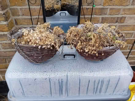 Photo of free Hanging baskets (Maidenhead SL6) #1