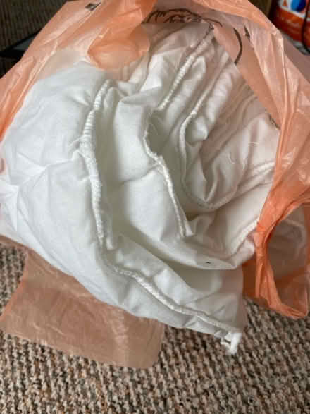 Photo of free Cot quilt (Denton) #1