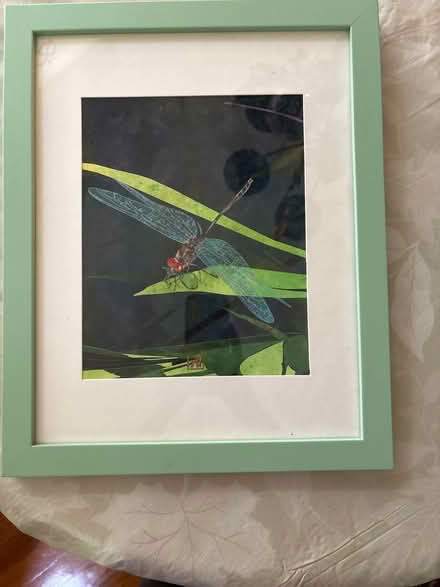 Photo of free Dragonfly painting (Ossining) #1