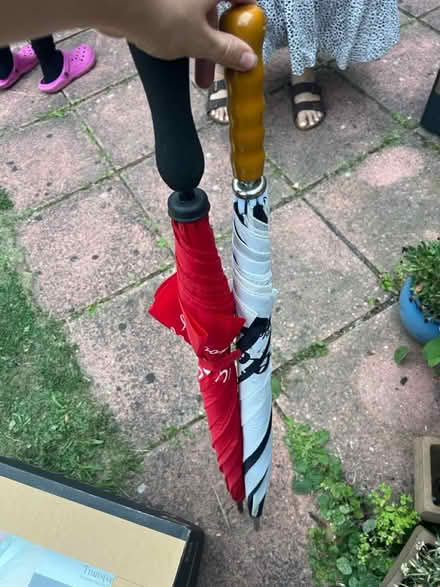 Photo of free Umbrellas (Stanway, CO3) #1