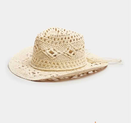 Photo of Cowboy hat (Primrose Hill) #1