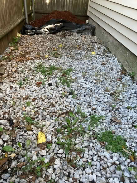 Photo of free Landscaping rocks (Fox Point) #1