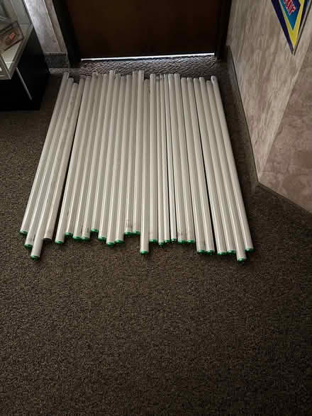 Photo of free Bulbs and plant (canton) #1