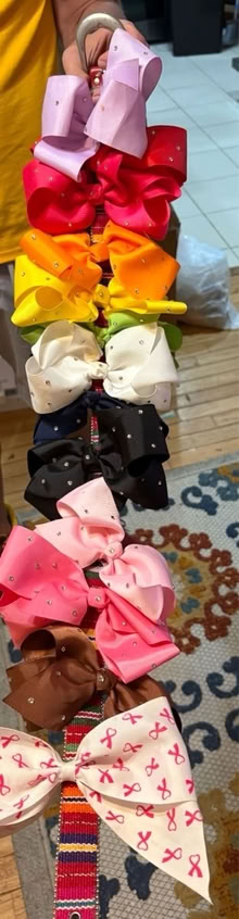 Photo of free Hair bows (Woodfield Rd & Airpark) #1