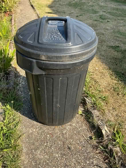 Photo of free Black Plastic Dustbin (CO14) #1