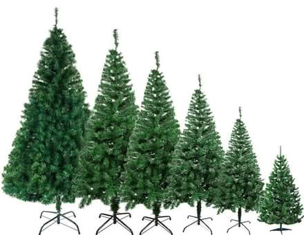 Photo of Christmas trees (CT11) #1