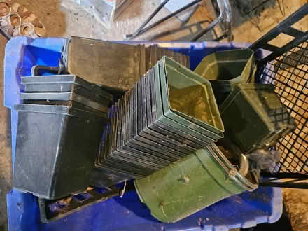 Photo of free plastic plant pots (Roxbury) #1
