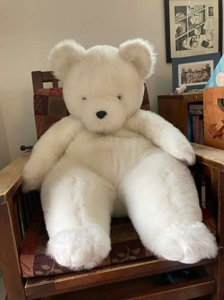 Photo of free Soft and fuzzy Teddy Bear (Waltham ma) #1