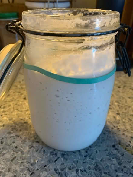 Photo of free Sourdough Starter (16 Street & First Ave Manhatta) #1