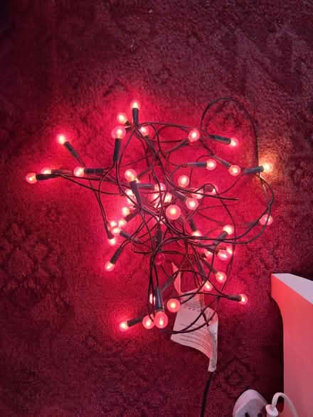 Photo of free Berry Christmas lights (Forestgreen) #1