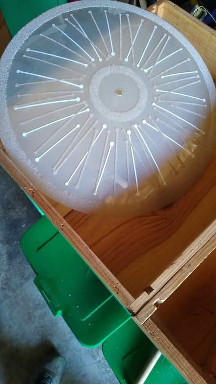 Photo of free Glass ceiling lampshade (Albany) #1