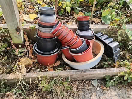 Photo of free Flowerpots (Frome BA11) #1