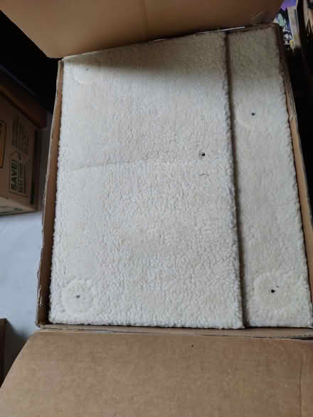 Photo of free Cat Tree (Mountain View) #2