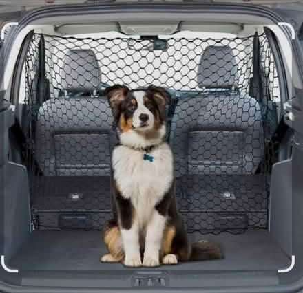 Photo of Dog guard for the boot (TQ12 5BW) #1