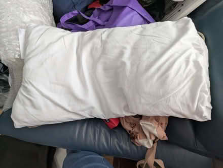 Photo of free Pillows (Common Edge FY4) #1