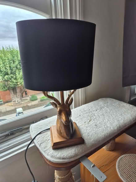 Photo of free Lamp (Highbury N5) #1