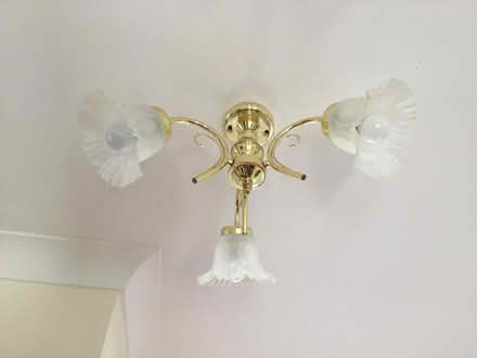 Photo of free Two Ceiling Lights (Climping BN17) #1