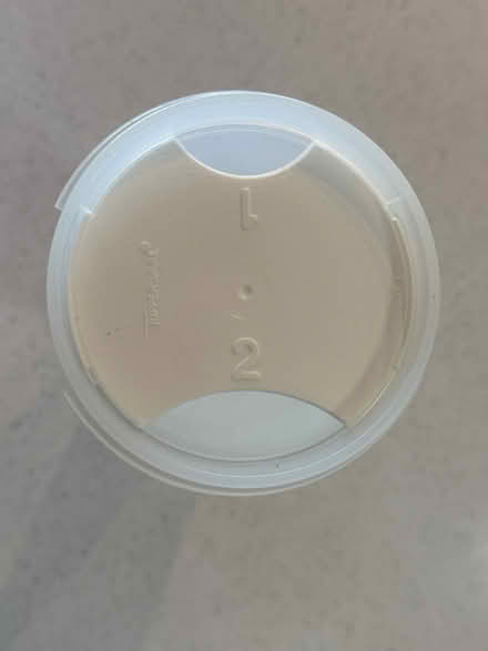 Photo of free Spaghetti Container (Guttenberg, NJ) #2