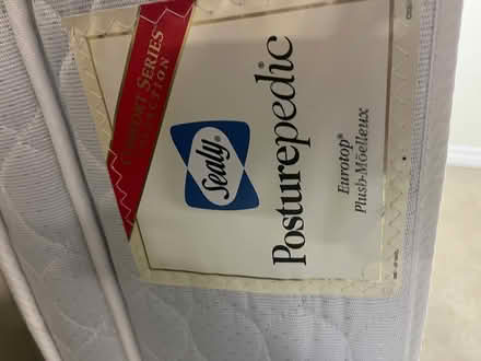 Photo of free Queen bed, frame and mattress (Bloor West Village) #3