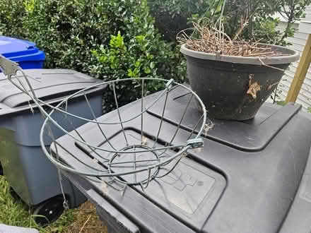 Photo of free hanging baskest (Roxbury) #1