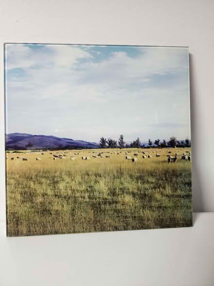 Photo of free Glass Sheep Photo (Ambler) #1