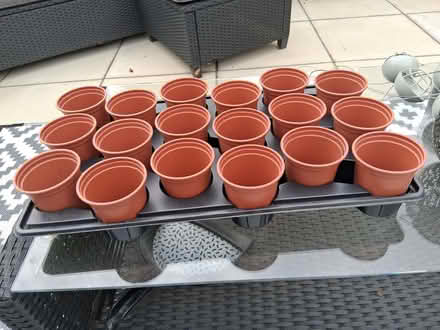 Photo of free 18, 9cm pots and drip tray (Toftwood NR19) #2