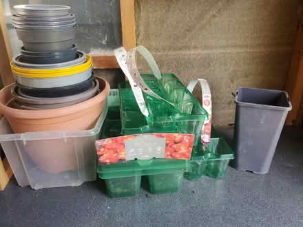 Photo of free Plant Pots & Trays (South Woodham Ferrers) #1
