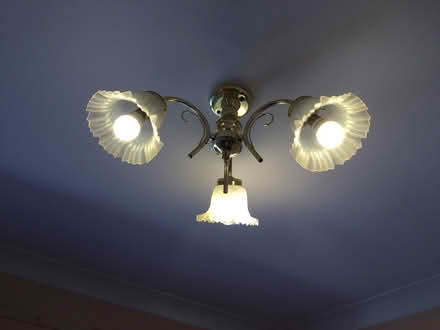 Photo of free Two Ceiling Lights (Climping BN17) #4