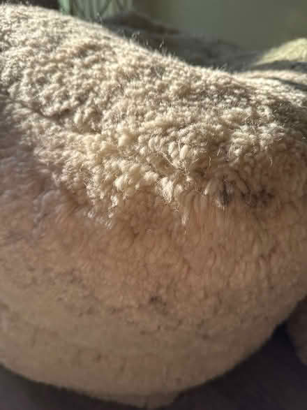 Photo of free Soft fabric cubes (Northridge second floor apt) #2