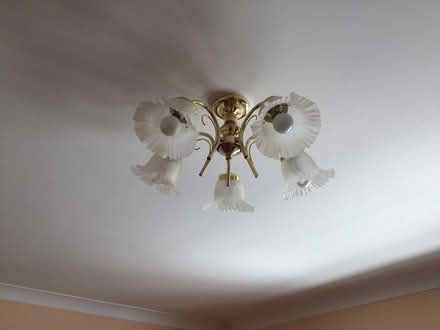 Photo of free Ceiling Light (Climping BN17) #2
