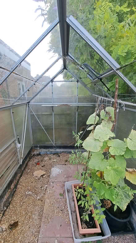 Photo of free Greenhouse (Mill End WD3) #2