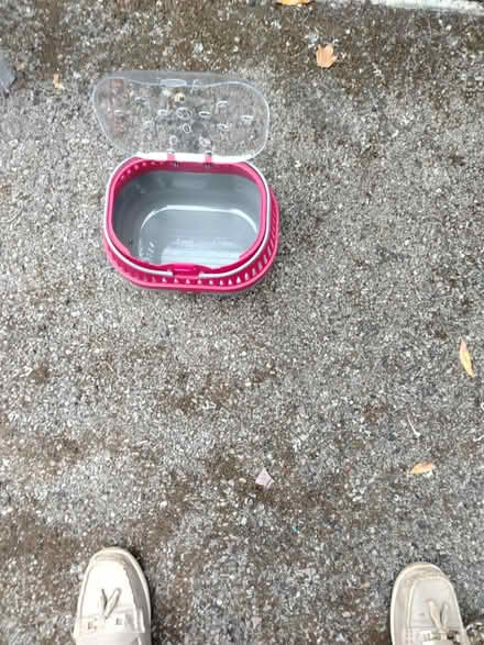 Photo of free Cat items (GL51 4UR) #4