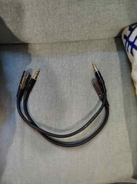 Photo of free 2 1.5' XLR to 1/4" Cables (Queen Anne) #1