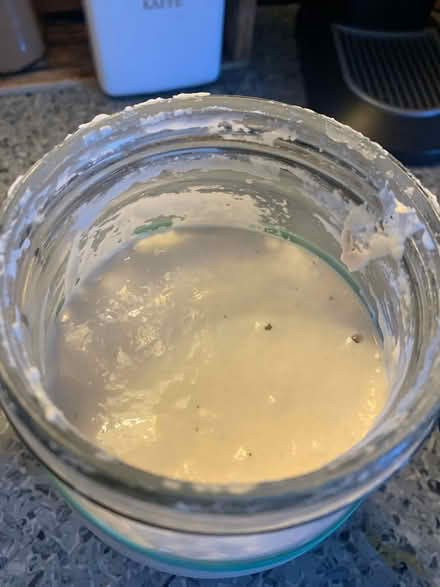 Photo of free Sourdough Starter (16 Street & First Ave Manhatta) #2