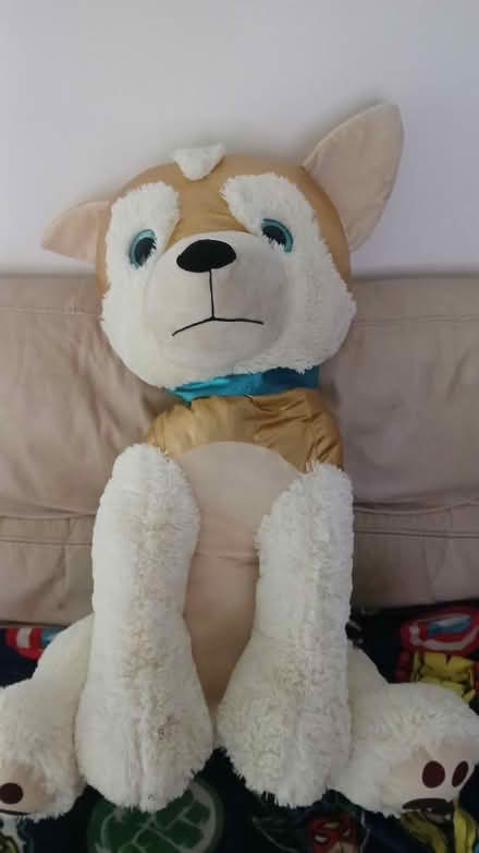 Photo of free Soft Toy (Iver Heath Fields SL0) #1