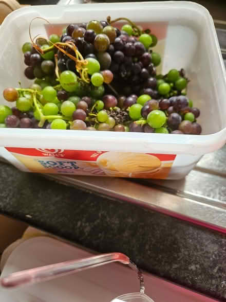 Photo of free Tubs of grapes & bags of pears (Newtown WN5) #2