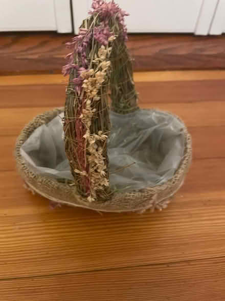 Photo of free small planter basket (Brookline) #3