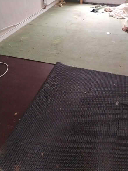 Photo of free Carpet underlay (Frome BA11) #1