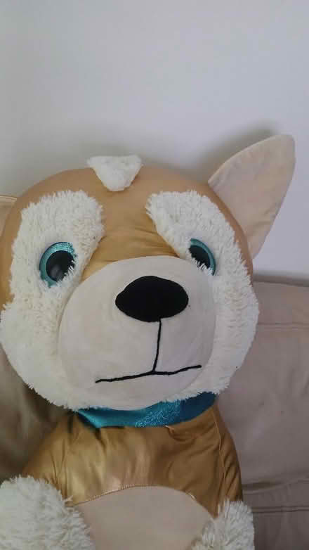 Photo of free Soft Toy (Iver Heath Fields SL0) #2