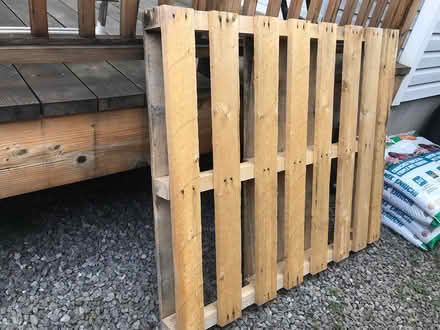 Photo of free Wooden Palette (Central Ottawa - River Ward) #1