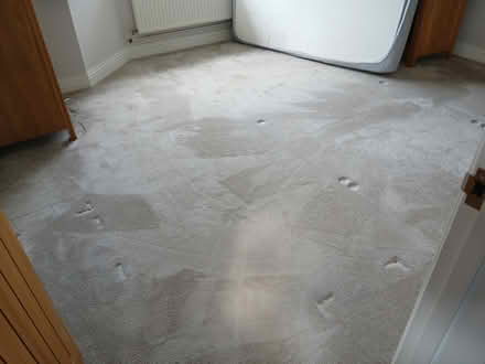 Photo of free 2 pieces of Grey carpet (Bearsted) #1