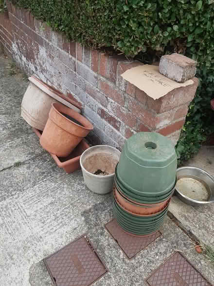 Photo of free Plant pots (Brixham TQ5) #1