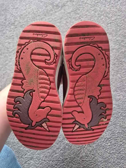 Photo of free Girls Clarks trainers 8.5 F (Dursley GL11) #1
