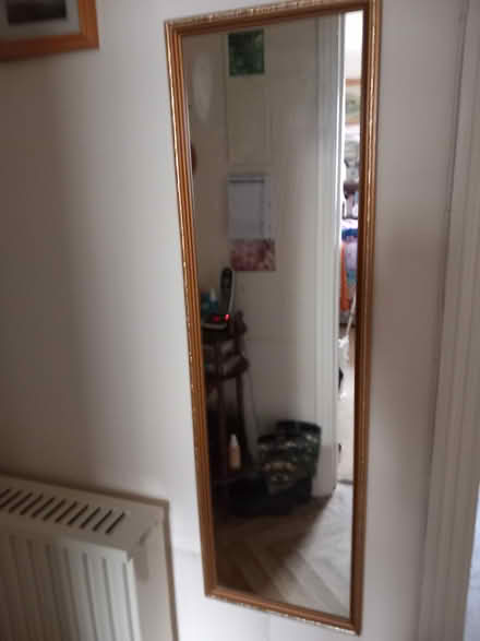 Photo of free Long mirror (Taunton town centre) #1