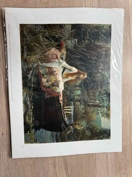 Photo of free The lady of shallot picture (Oswestry SY11) #1