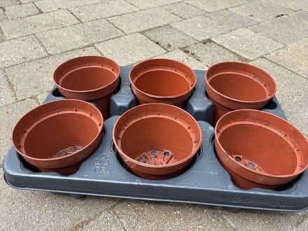 Photo of free Plant pots and tray (Blakelands MK14) #1
