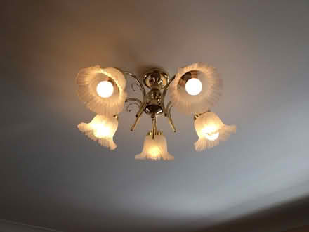 Photo of free Ceiling Light (Climping BN17) #1