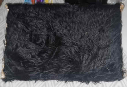 Photo of free Cat shelf (Longsight M13) #4
