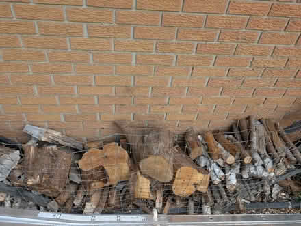 Photo of free Firewood (Greenbank and Hunt Club) #2