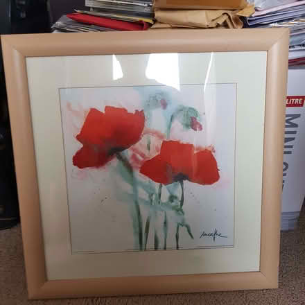Photo of free Poppy Framed Pictures (Penzance TR18) #1